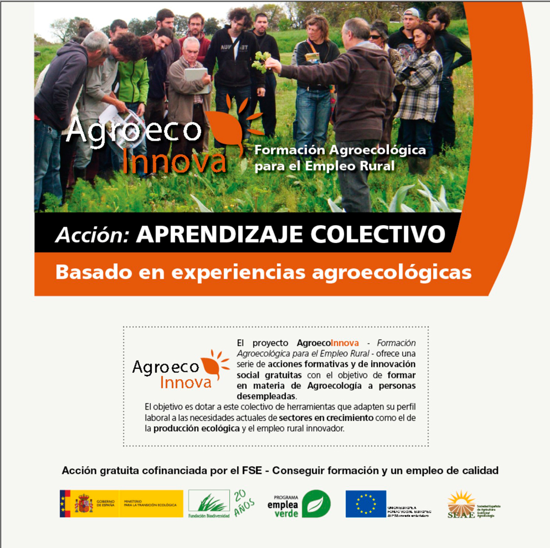Aprendizaje colectivo. Castilla La Mancha, Andalucía, Comunidad Valenciana y Murcia