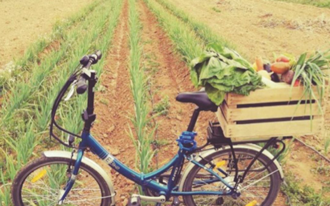 Sobre el «Matchfunding Madrid KmRegión»: innovación  financiera para canales cortos agroecológicos