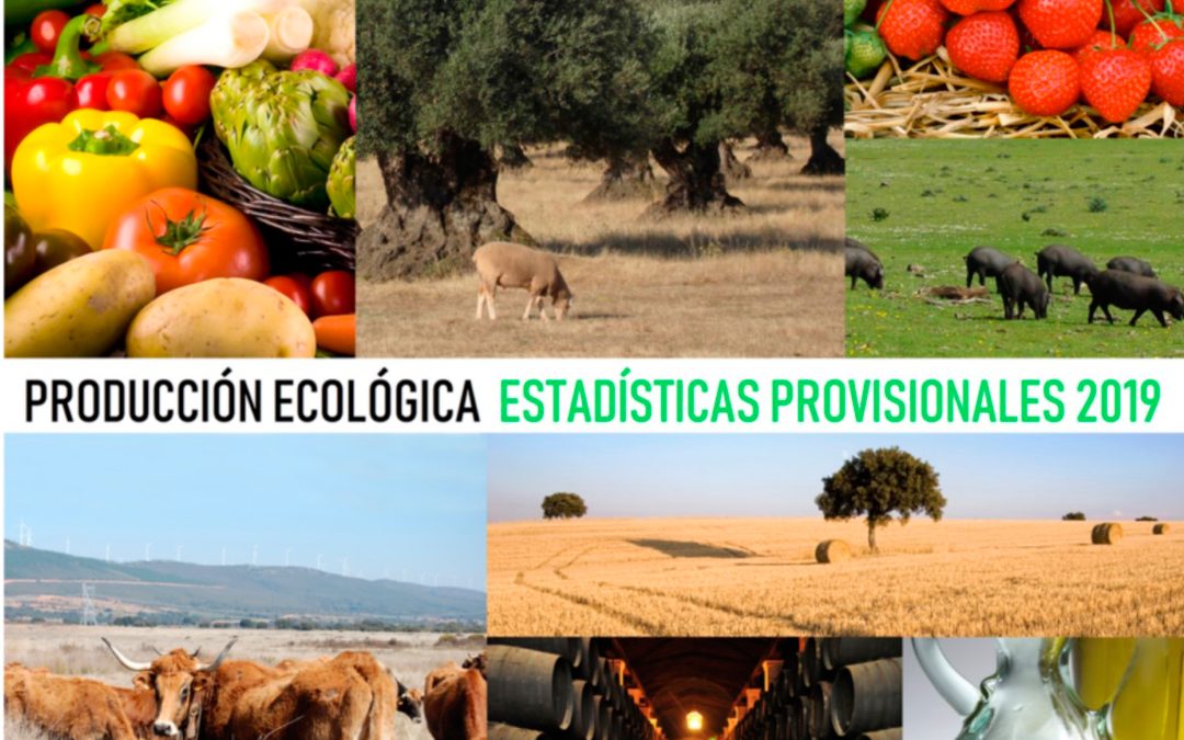 El MAPA publica el «avance de datos provisionales de producción ecológica 2019 en España»