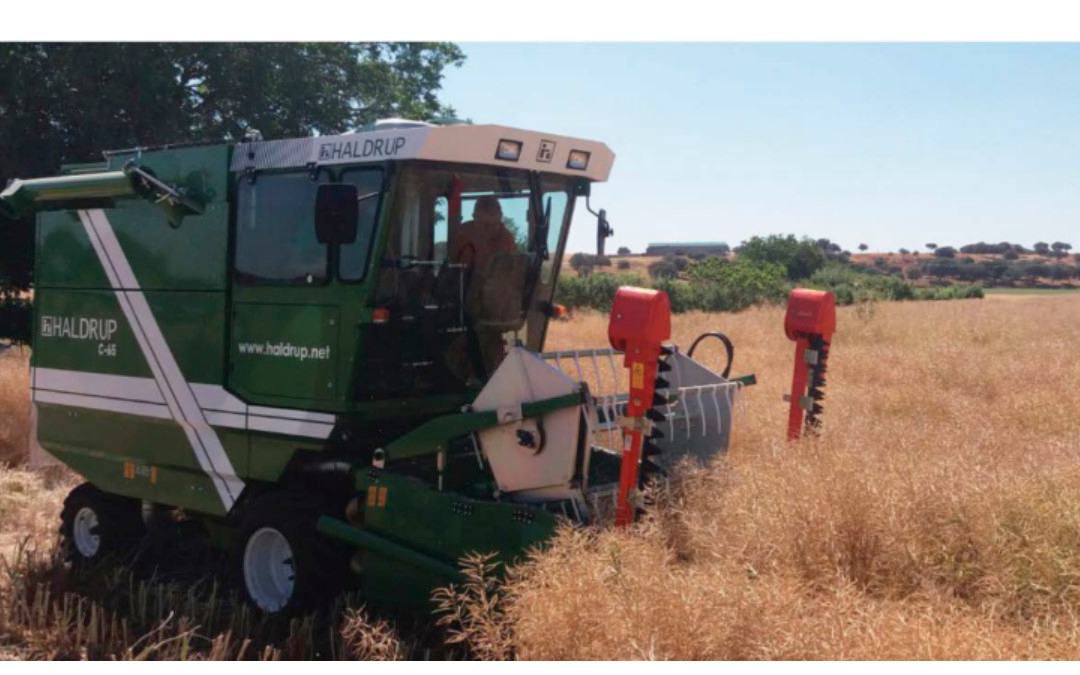 El cultivo ecológico como la mejor alternativa al extensivo de secano – Grupo Operativo ECOPIONET