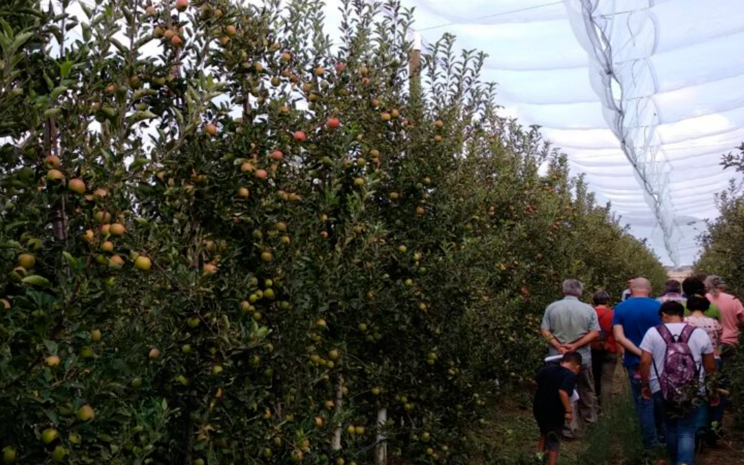 La CE propone posponer la entrada en vigor del nuevo Reglamento Europeo de Producción Ecológica y la apertura de una consulta pública