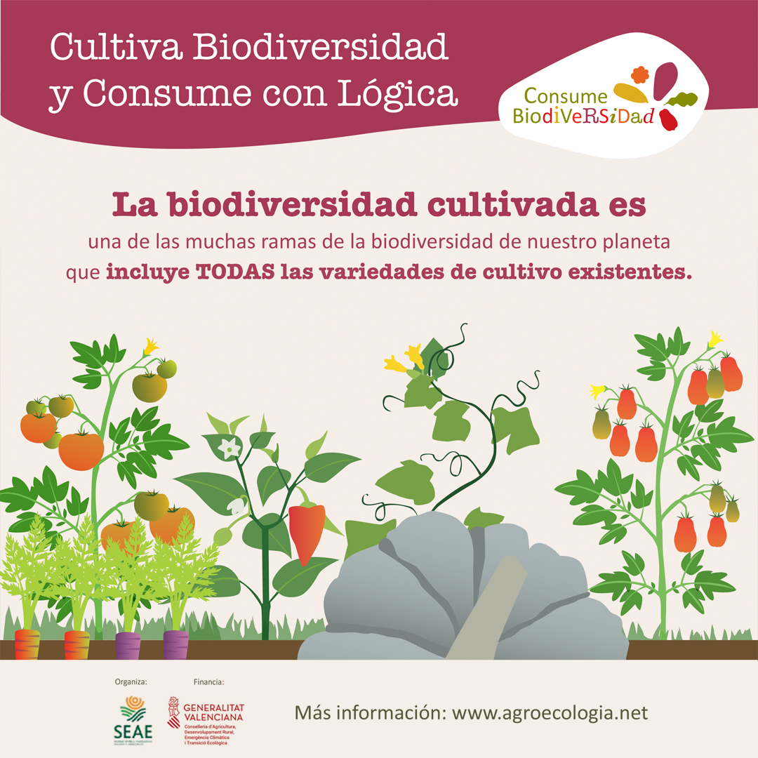 CULTIVA BIODIVERSIDAD Y CONSUME CON LÓGICA AGRO-ECO-LÓGICA
