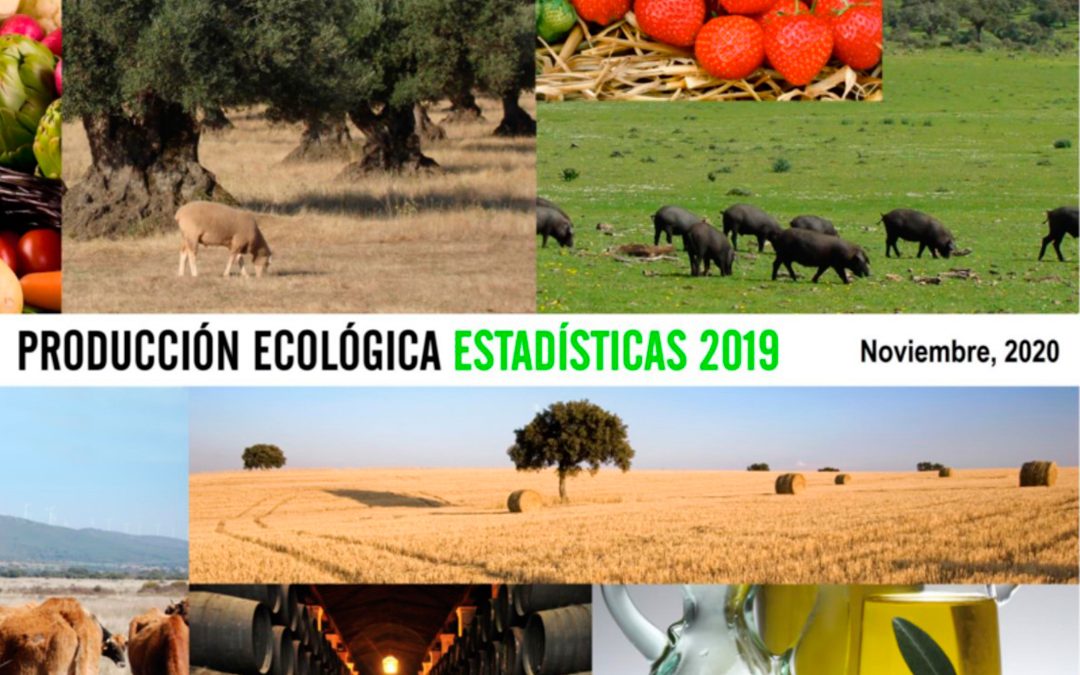 Datos estadísticos de producción ecológica en España (2019)