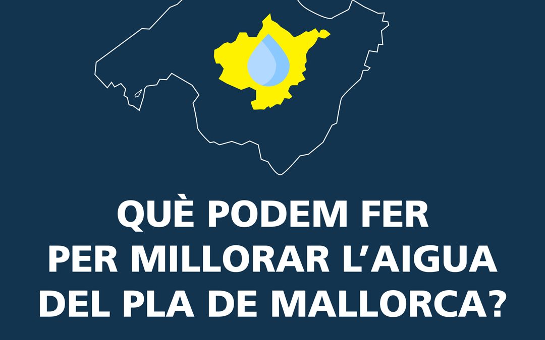 EDUCACIÓ I CONSCIENCIACIÓ PER UN AMBIENT I UNS AQÜÍFERS SANS AL PLA DE MALLORCA