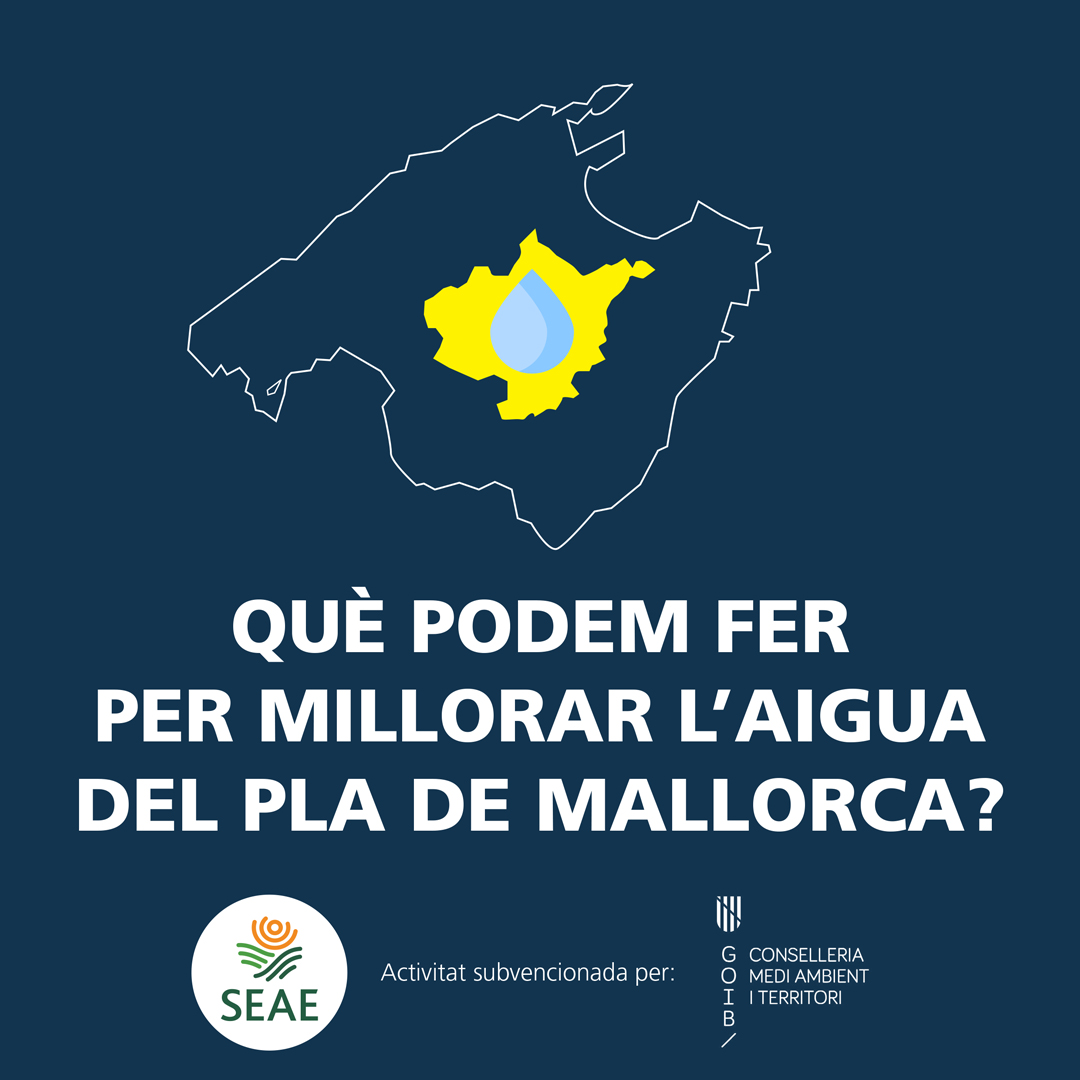 EDUCACIÓ I CONSCIENCIACIÓ PER UN AMBIENT I UNS AQÜÍFERS SANS AL PLA DE MALLORCA