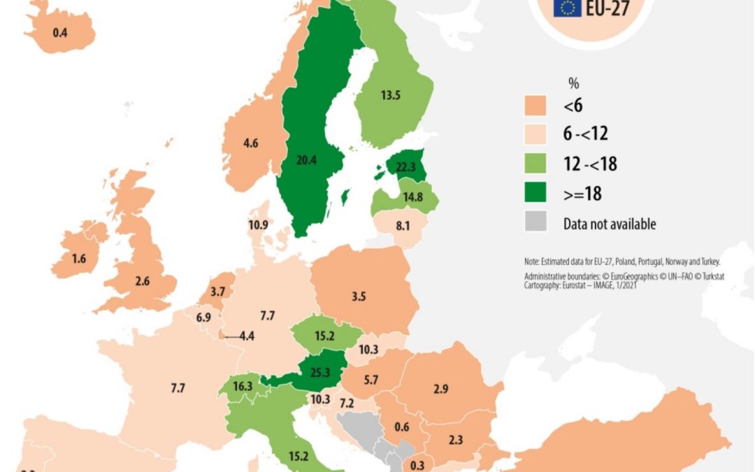La superficie ecológica representa, en 2019, el 8,5 % de la superficie agrícola total de la UE