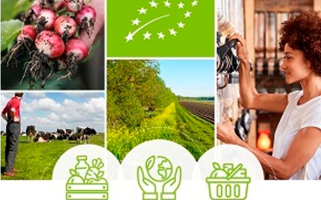 La Comisión presenta medidas para impulsar la producción ecológica en el marco del Pacto Verde Europeo