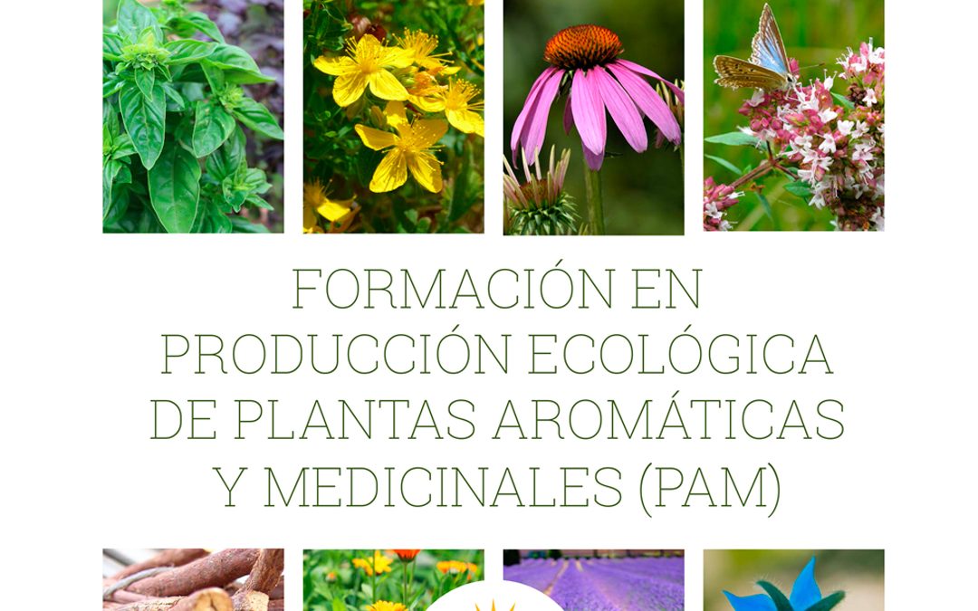 Próximos cursos de producción ecológica ¡con SEAE!