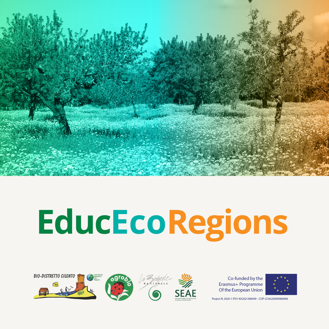 EDUCECOREGIONS
