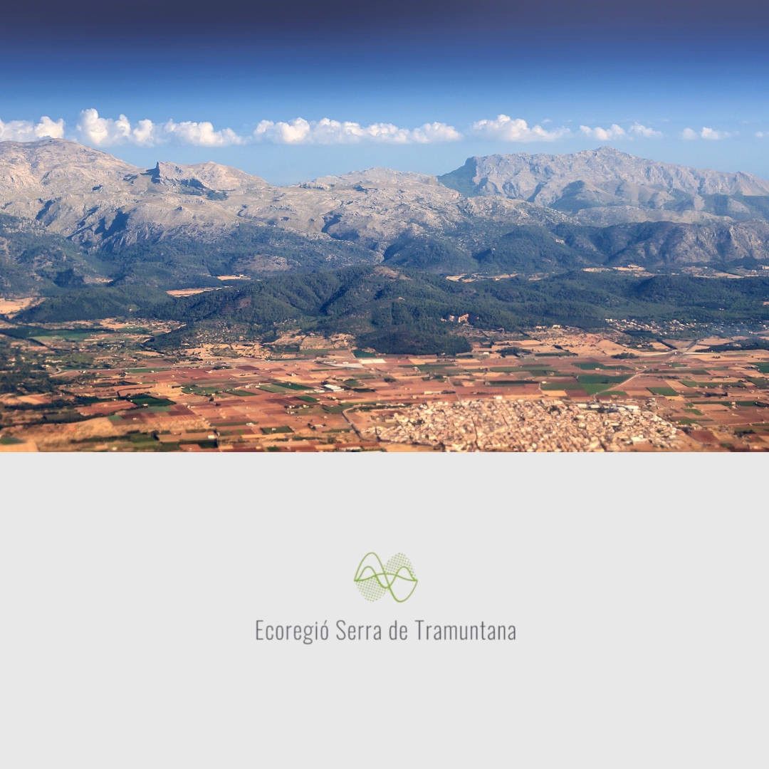ECOREGIÓ/ECOTERRITORI SERRA DE TRAMUNTANA (MALLORCA)