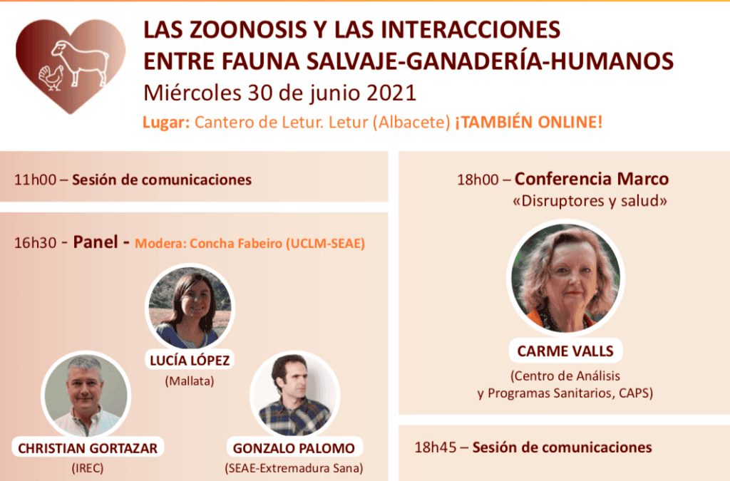 DIA 3 – XXIX Jornadas Técnicas SEAE en Letur (Albacete)
