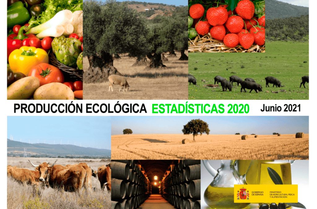 Publicadas las estadísticas de PRODUCCIÓN ECOLÓGICA en España 2020