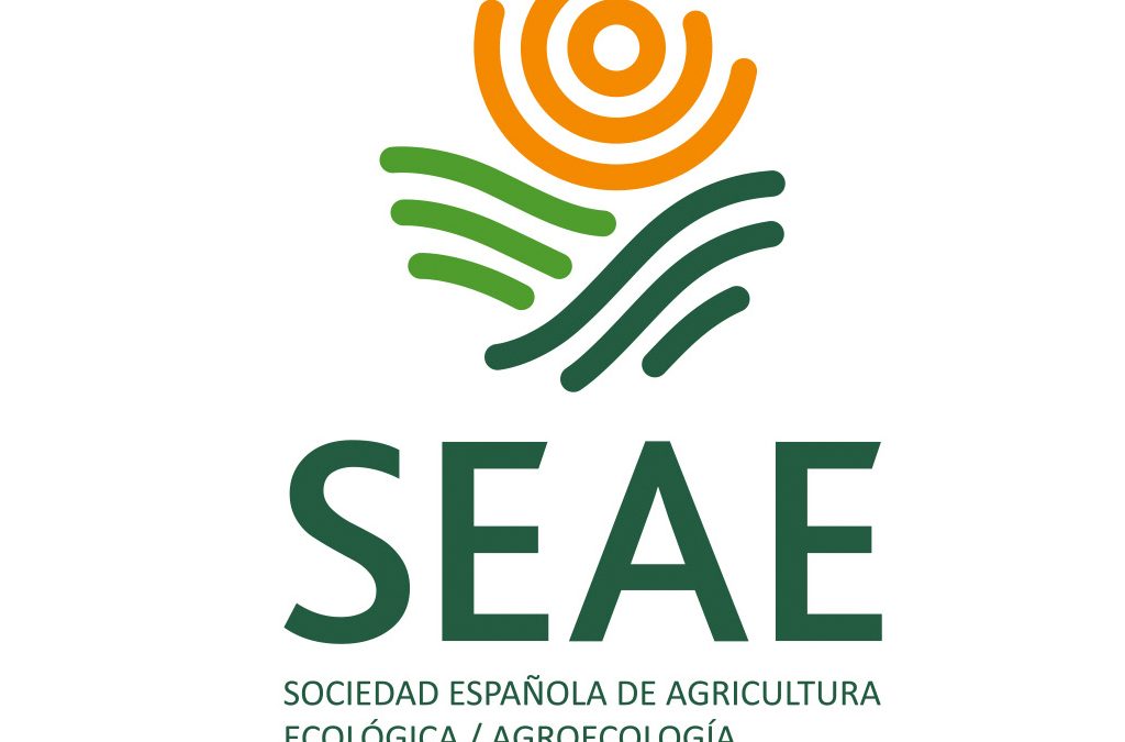 SEAE renueva su identidad visual: nueva imagen, misma esencia