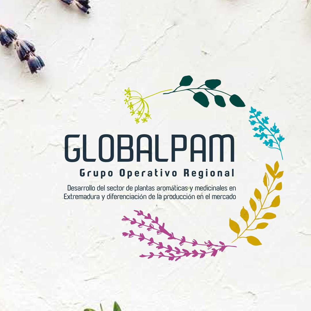 Grupo Operativo GLOBALPAM