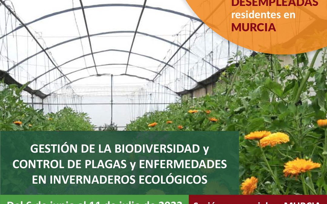 Cursos gratuitos sobre invernaderos ecológicos para personas desempleadas de Murcia