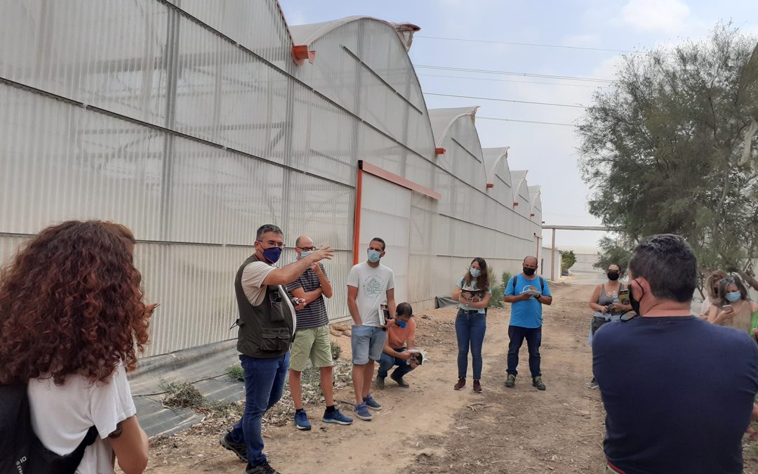 Nuevos cursos SEAE para este verano 2021