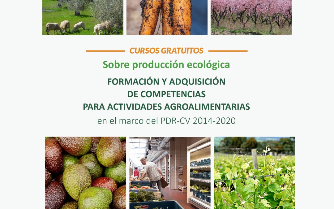 FORMACIÓN Y ADQUISICIÓN DE COMPETENCIAS PARA ACTIVIDADES AGROALIMENTARIAS EN EL MARCO DEL PDR-CV 2014-2020