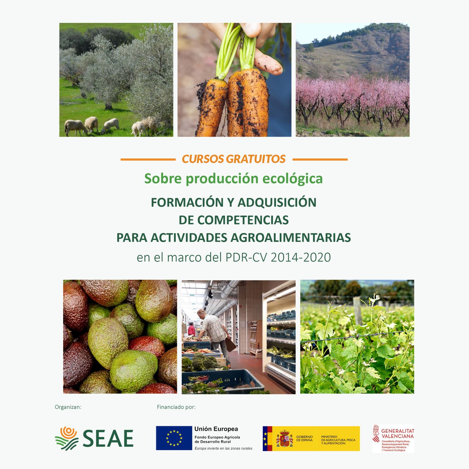 FORMACIÓN Y ADQUISICIÓN DE COMPETENCIAS PARA ACTIVIDADES AGROALIMENTARIAS EN EL MARCO DEL PDR-CV 2014-2020