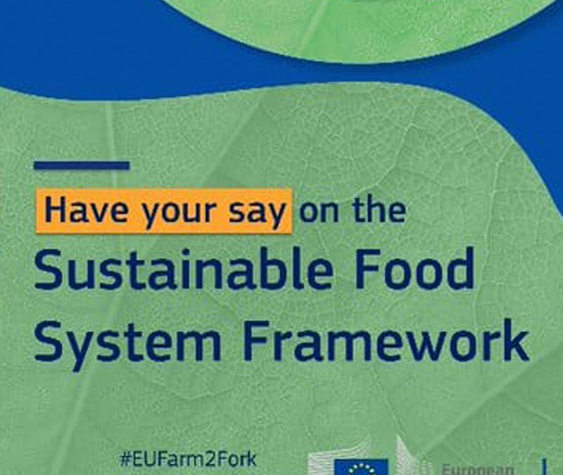 SEAE responde a la consulta sobre el marco legislativo de la Unión Europea (UE) para sistemas alimentarios sostenibles