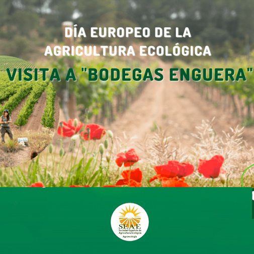 Visita a «Bodegas Enguera» por el Día Europeo de la Producción Ecológica