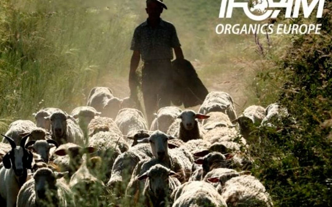 Carta conjunta al Parlamento Europeo sobre el Reglamento de Uso Sostenible de Productos Fitosanitarios(SUR)