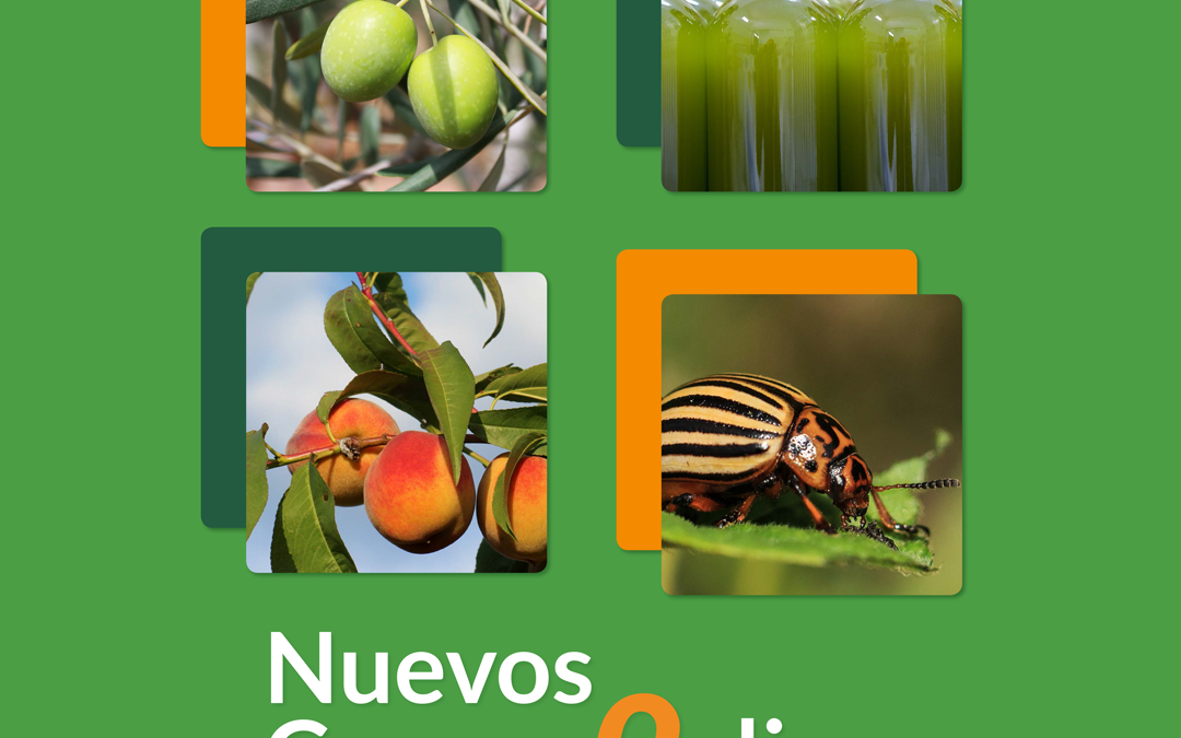 Cursos de producción ecológica 2023: formación 100% bonificada por FUNDAE