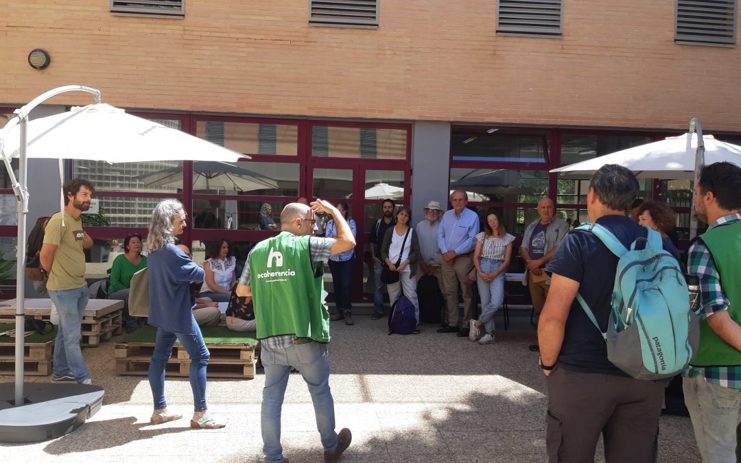 Espacio abierto: ¿Cómo ser parte de la transición agroecológica y no morir en el intento?