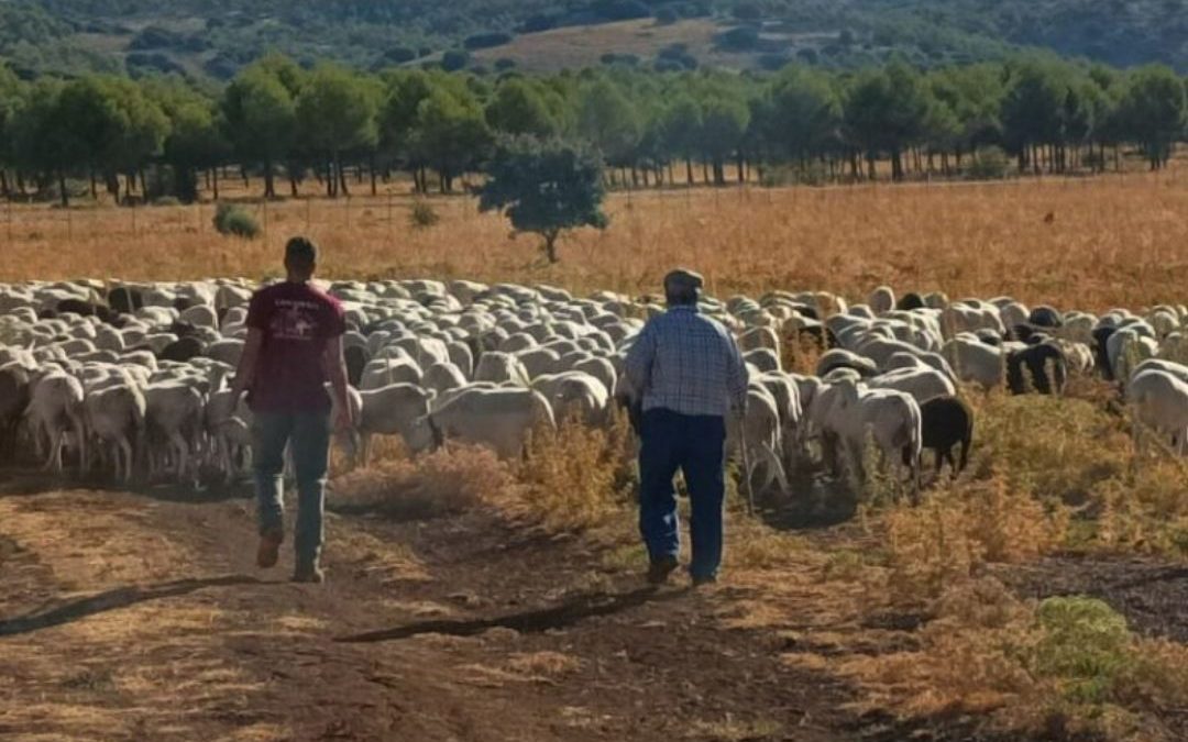 MADRE: MANEJO AGROECOLÓGICO Y DESARROLLO RURAL EN ECOSISTEMAS DE LA SIERRA DE LAS NIEVES