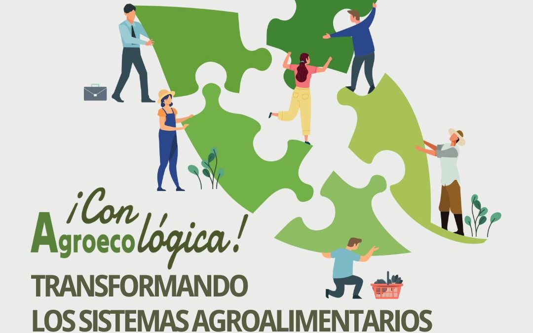 TRANSFORMANDO SISTEMAS ALIMENTARIOS CON LÓGICA AGROECO-LÓGICA