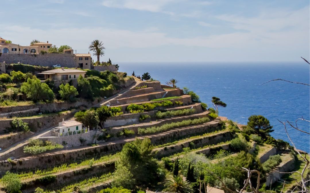PROJECTES D’EDUCACIÓ AMBIENTAL A LES ILLES BALEARS