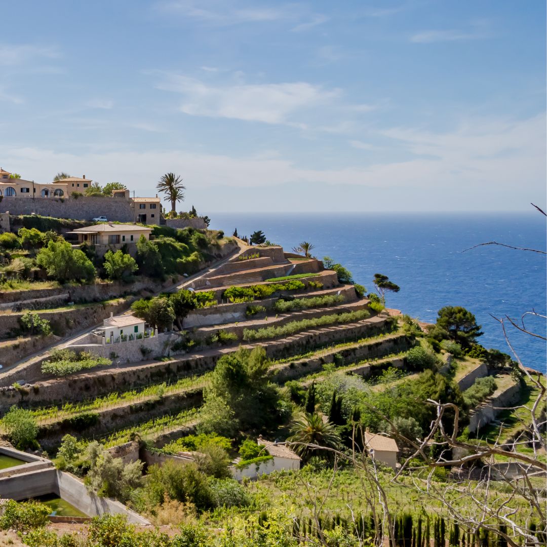 PROJECTES D’EDUCACIÓ AMBIENTAL A LES ILLES BALEARS