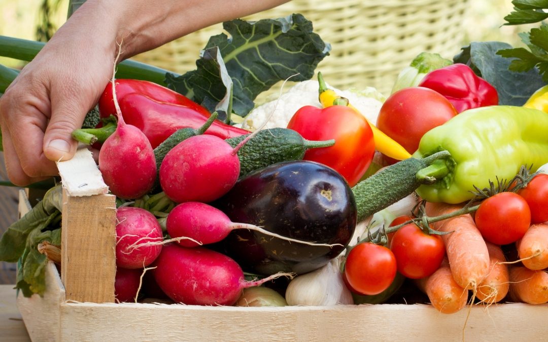 Carta abierta por la contratación pública sostenible de alimentos en la UE