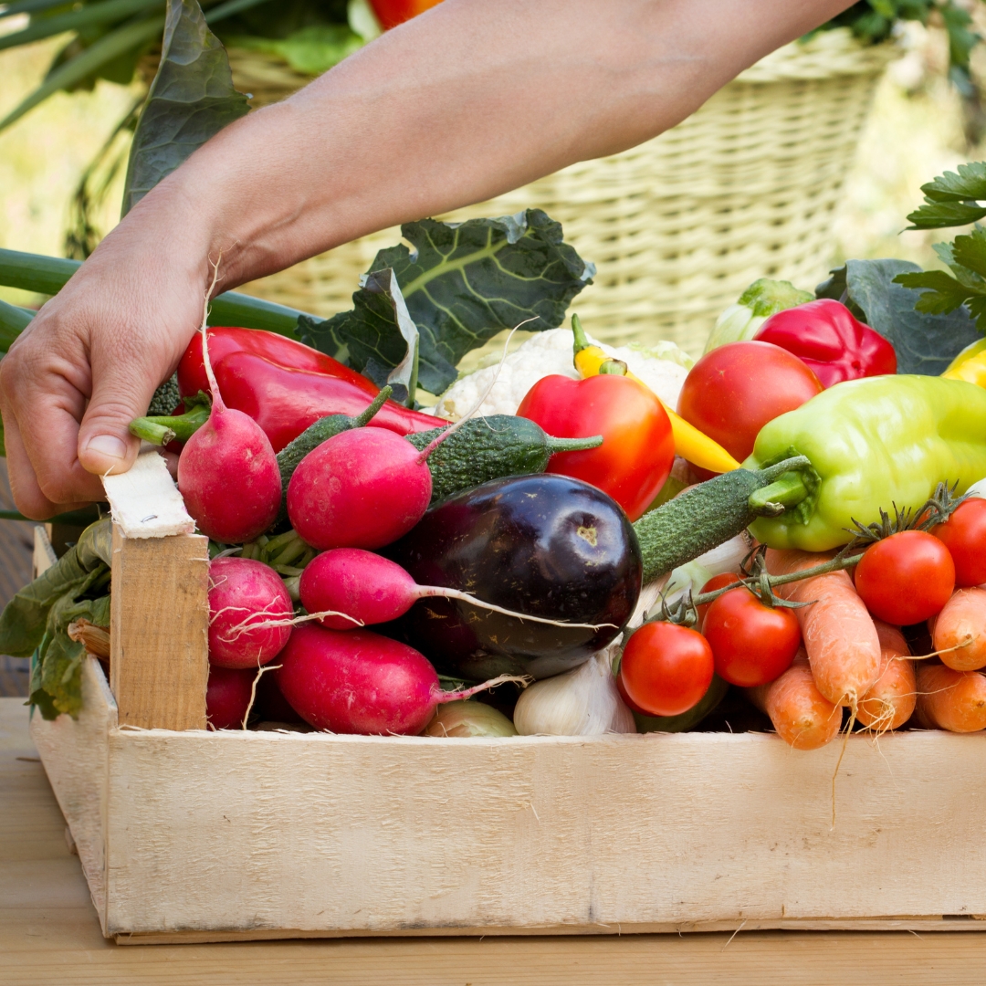 Carta abierta por la contratación pública sostenible de alimentos en la UE