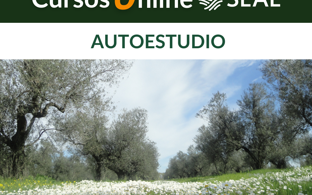 Autoestudia con los CURSOS online de producción ecológica para este verano 2024: cubiertas vegetales y fertilidad del suelo