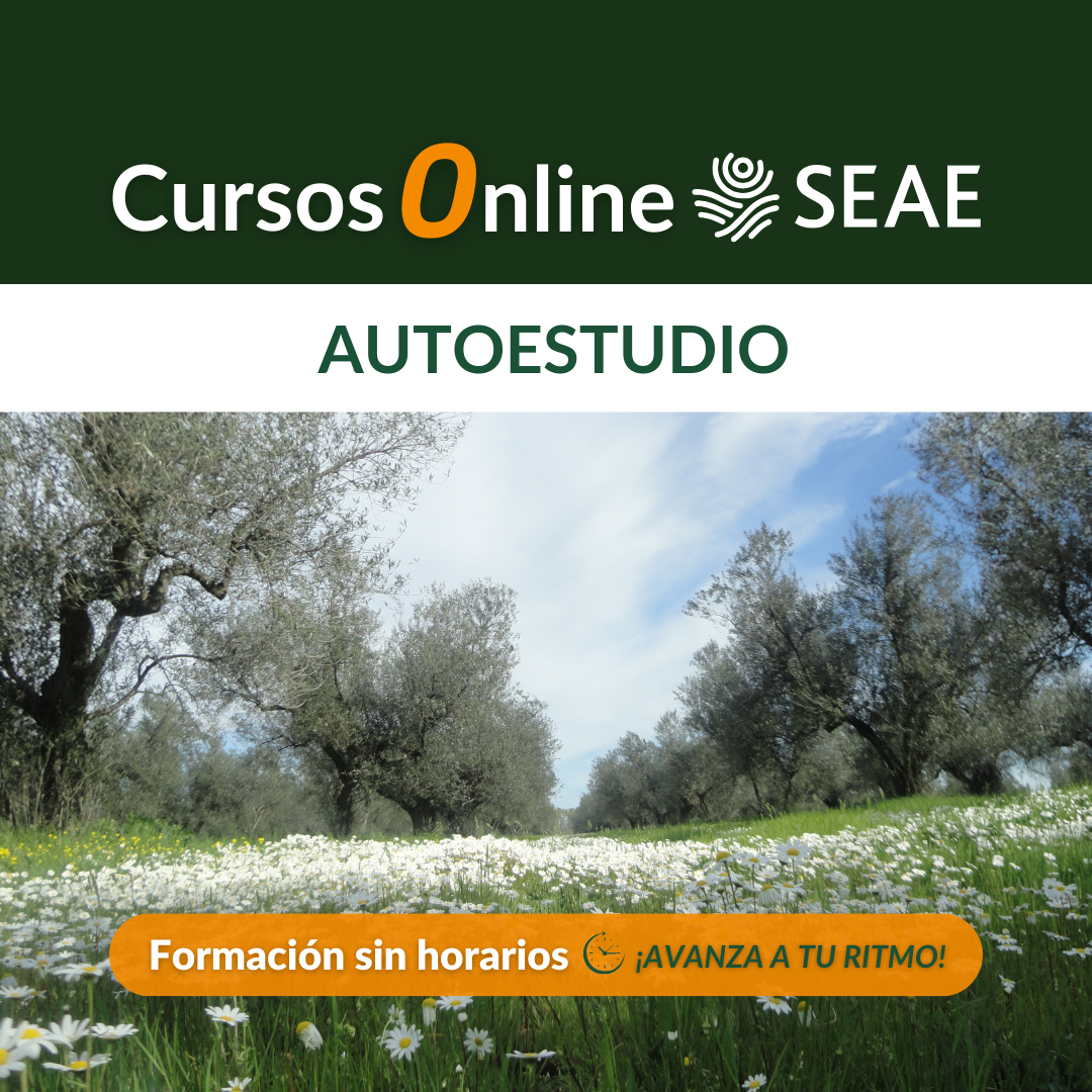 Autoestudia con los CURSOS online de producción ecológica para este verano 2024: cubiertas vegetales y fertilidad del suelo