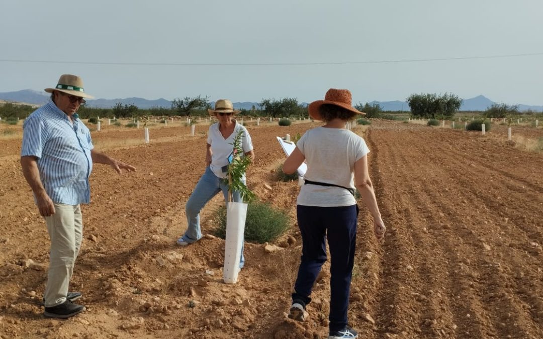 Primeras visitas a fincas piloto en la cuenca vertiente del Mar Menor: fomentando la conversión a la agricultura ecológica con CultivEco