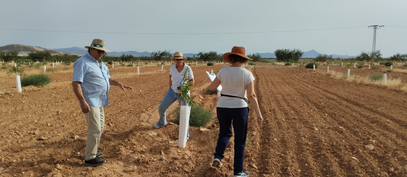 Primeras visitas a fincas piloto en la cuenca vertiente del Mar Menor: fomentando la conversión a la agricultura ecológica con CultivEco