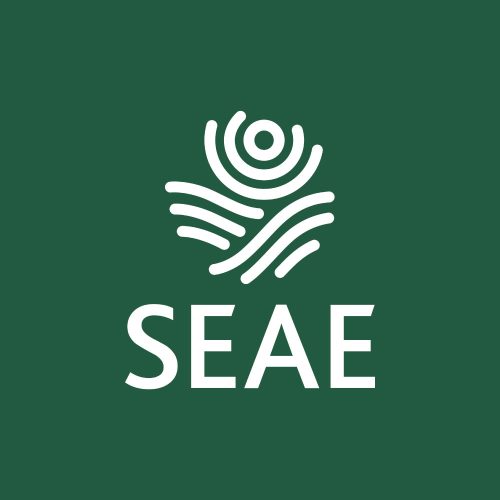 logo-seae-blanco-1000px