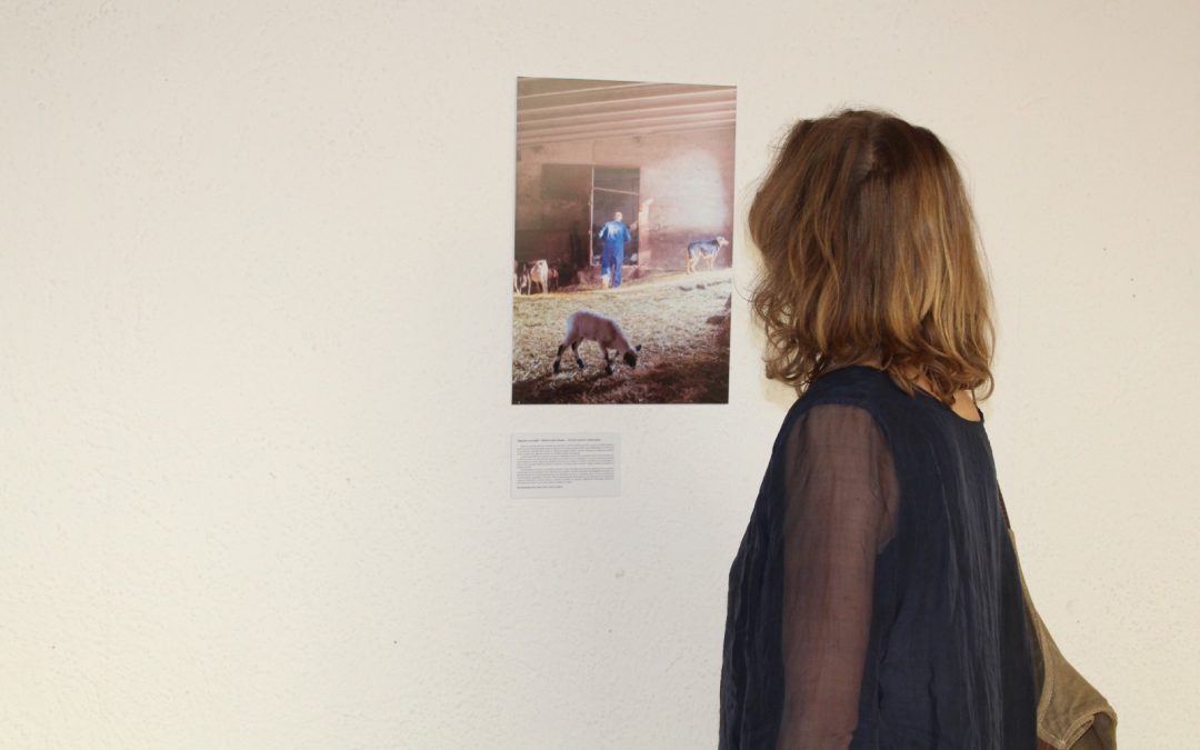 Estas son las fotografías premiadas en el I Concurso de Fotoperiodismo: “Sembrando Narrativas que alimentan”