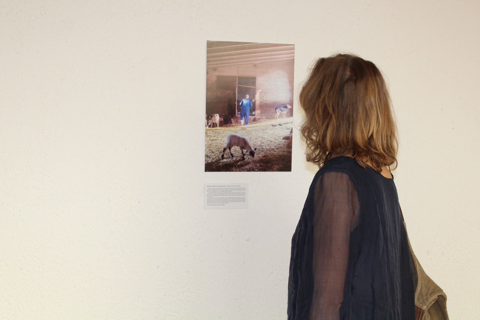 Estas son las fotografías premiadas en el I Concurso de Fotoperiodismo: “Sembrando Narrativas que alimentan”