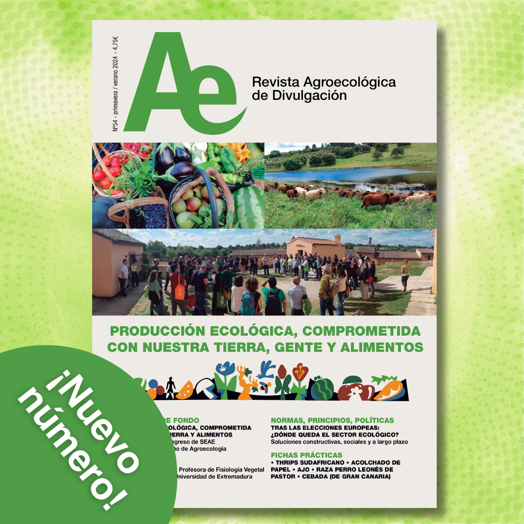 ¡Nuevo número! Descubre los contenidos de la Revista Ae 54, edición primavera – verano