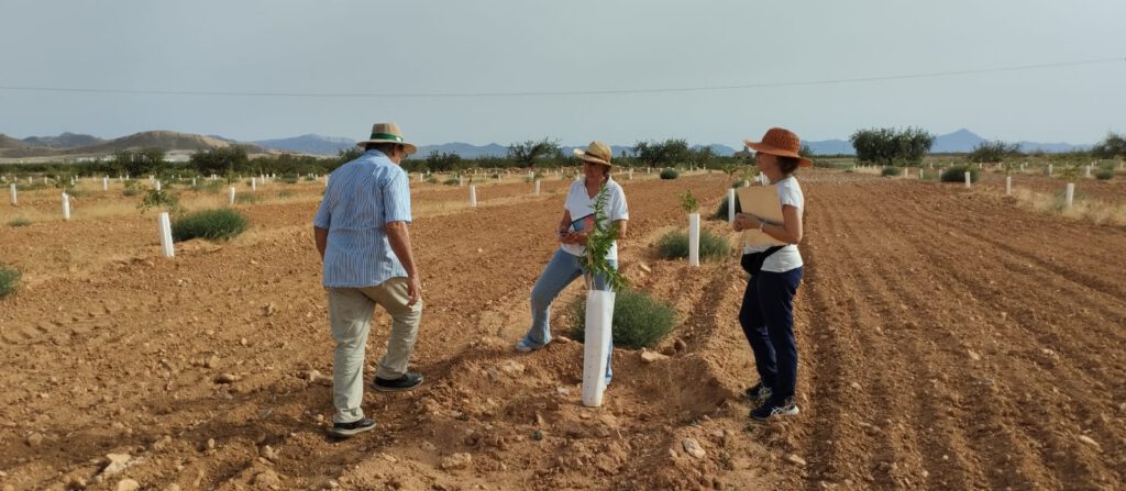 Puesta en marcha de la Red de “Fincas Faro” y “Fincas Piloto” para el impulso de la agricultura ecológica en el Mar Menor
