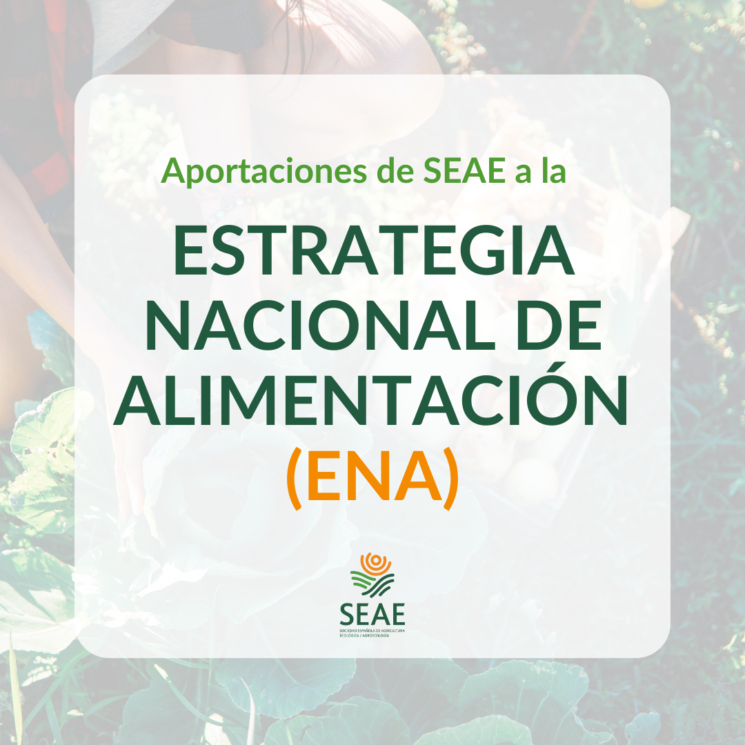Aportaciones de SEAE a la Estrategia Nacional de Alimentación (ENA)