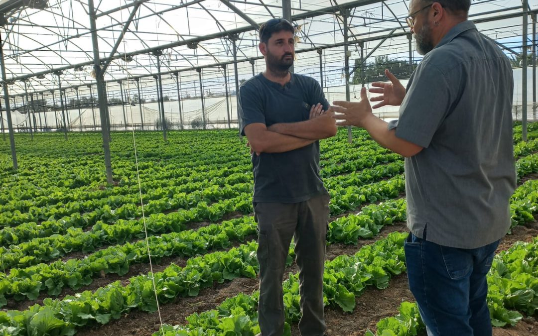 Red de Fincas CultivEco: la inspiración para mejorar las prácticas agrarias en el Mar Menor