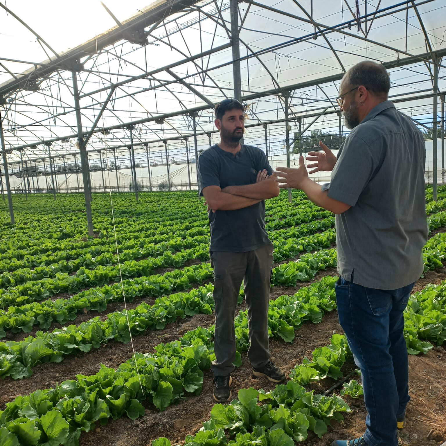 Red de Fincas CultivEco: la inspiración para mejorar las prácticas agrarias en el Mar Menor
