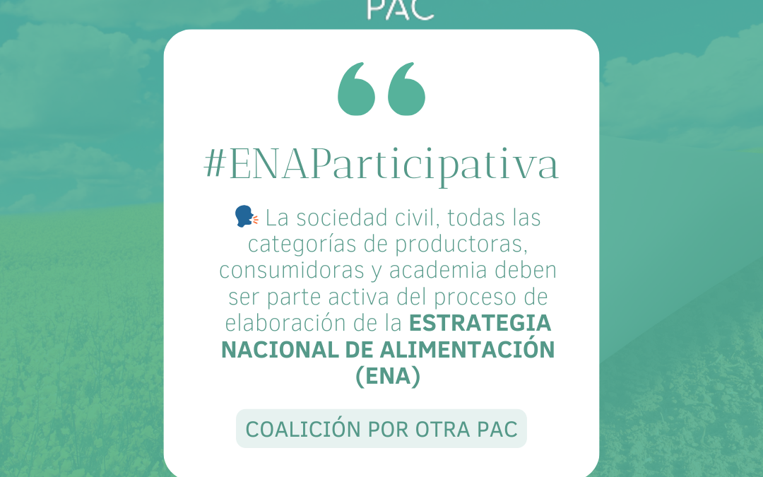 En el Día Mundial de la Alimentación, solicitamos más participación en la Estrategia Nacional de la Alimentación