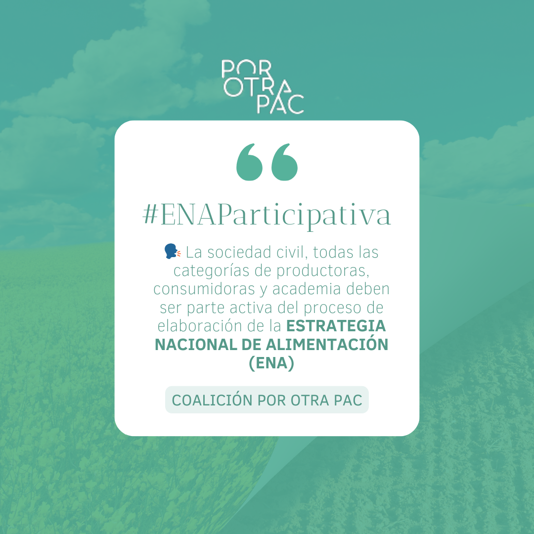 En el Día Mundial de la Alimentación, solicitamos más participación en la Estrategia Nacional de la Alimentación