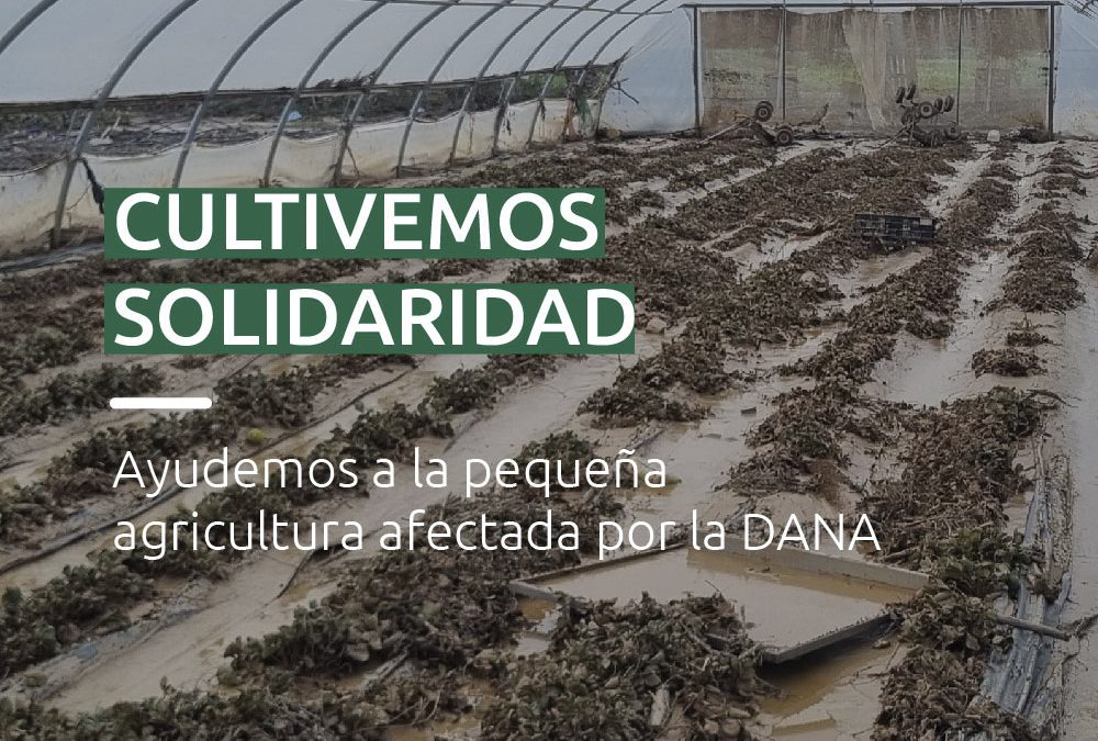 Cultivemos solidaridad: Ayuda a la pequeña agricultura afectada por la DANA