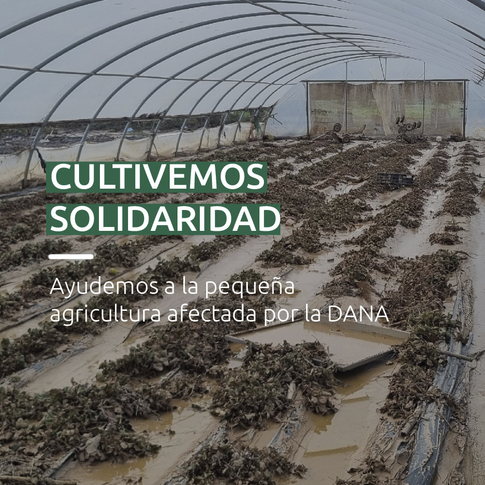 Cultivemos solidaridad: Ayuda a la pequeña agricultura afectada por la DANA