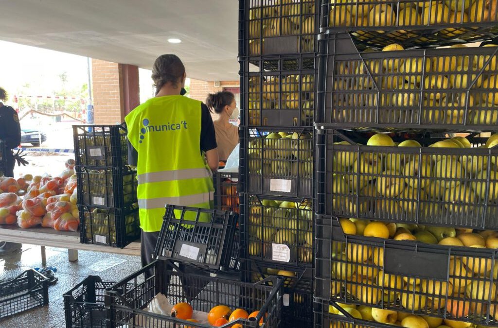 Apoya la campaña «Cultivemos Solidaridad» para ayudar a pequeños agricultores/as afectados por la DANA